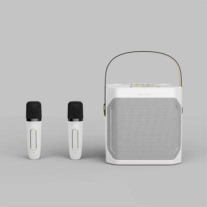 High Power Karaoke Bluetooth Speaker with Dual Microphone